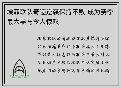 埃菲联队奇迹逆袭保持不败 成为赛季最大黑马令人惊叹